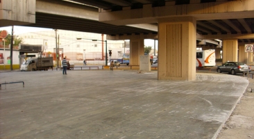 Skate Nogalar